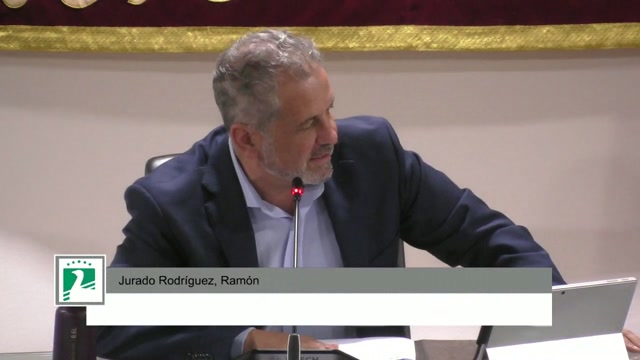 poster Intervención ciudadana Pleno Ordinario del 17 de Septiembre de 2026